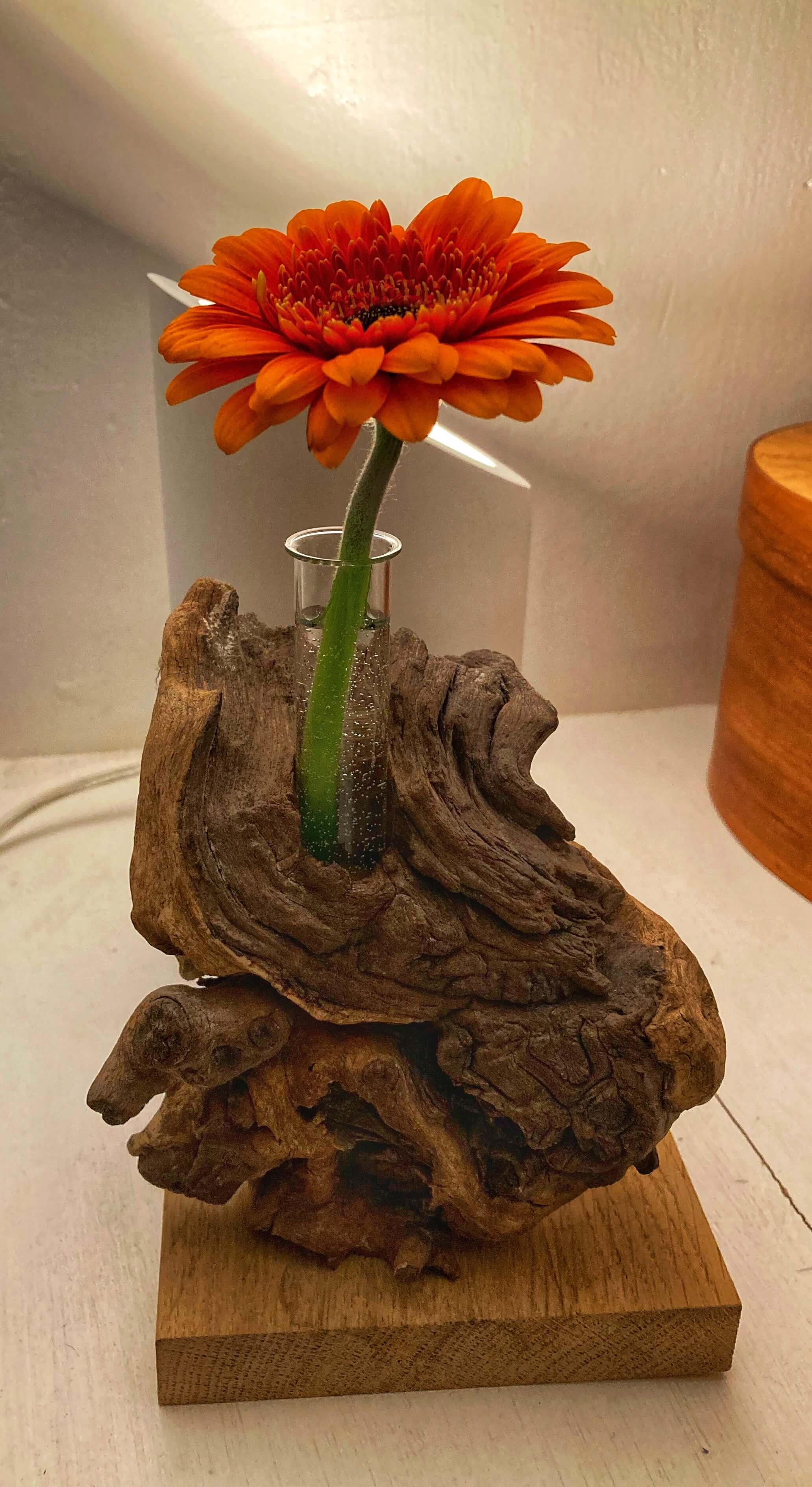 Root Vase